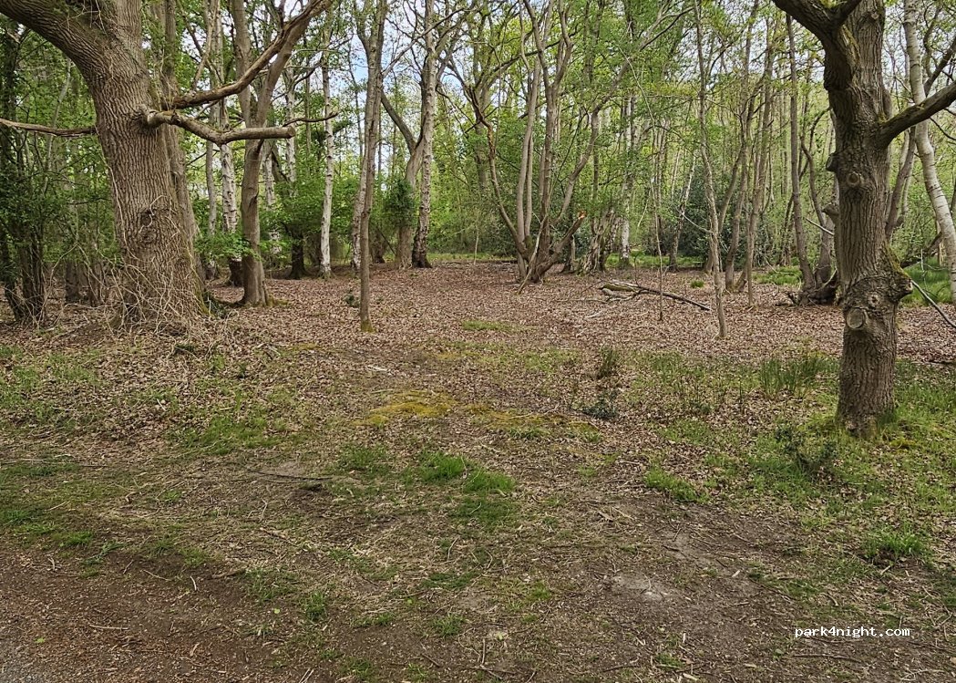 (NR28 9PQ) North Walsham - — foto