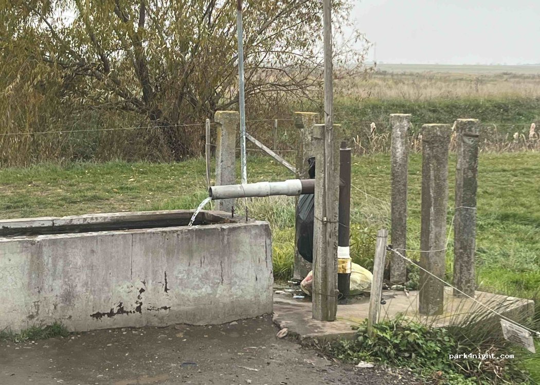 (307041) Dudeștii Noi - DJ692A — foto