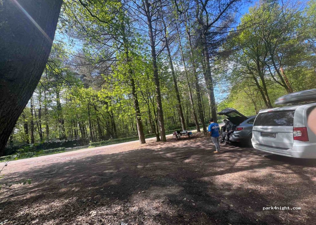 (5724 PN) Ommel - 31 Kranenvenweg — foto 2