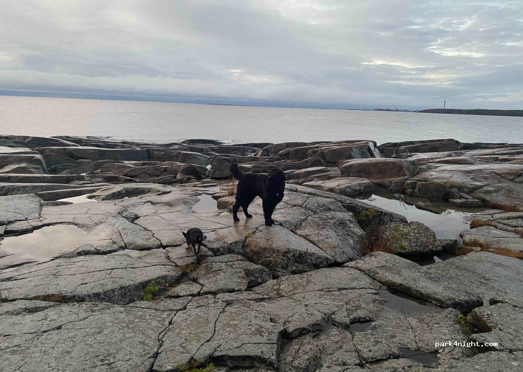 (28880) Pori - Kallontie — foto