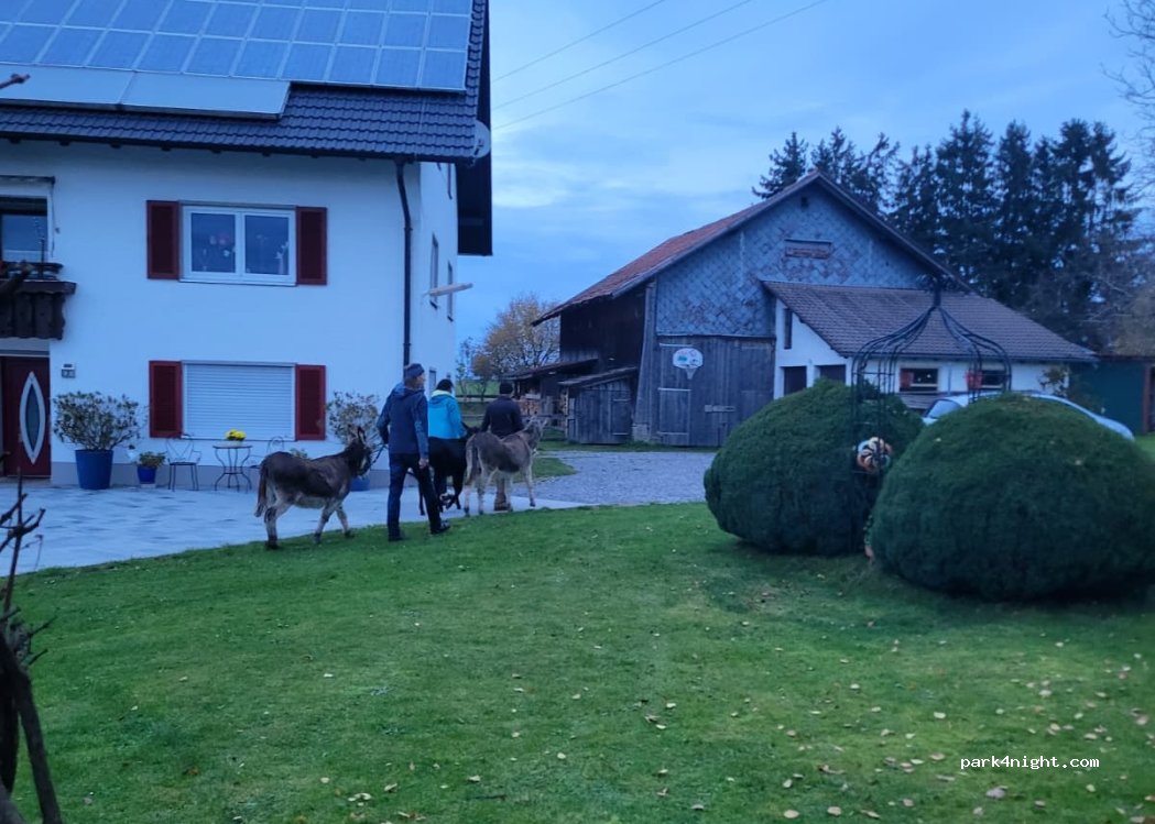 (88353) Kißlegg - 3 Hunau — foto 3