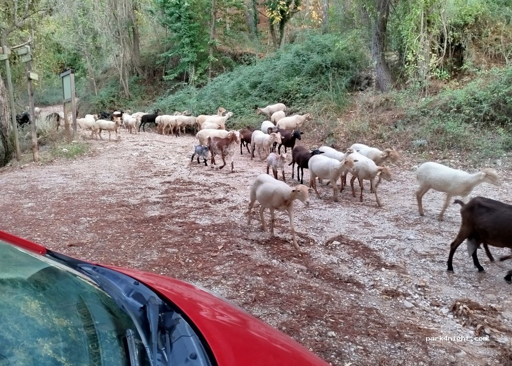 (23470) Cazorla - Unnamed Road — foto