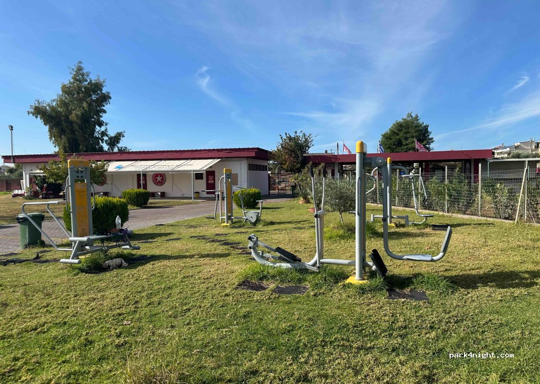(272 00) Amaliada - 29 Gipedou — foto 2
