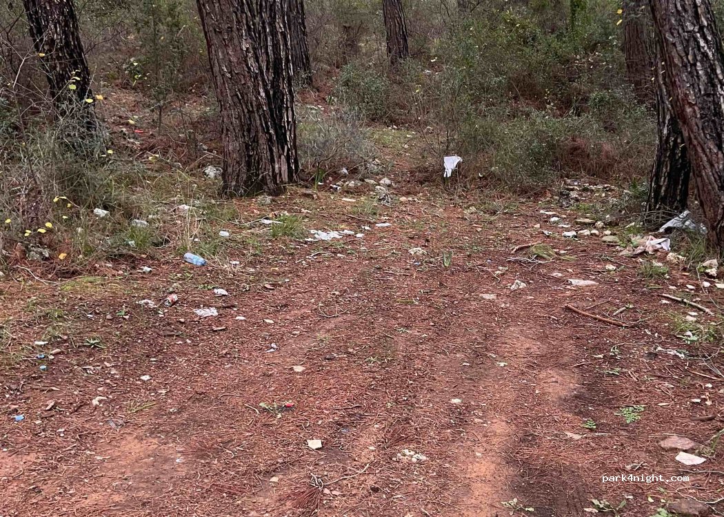 (48640) Muğla - — foto