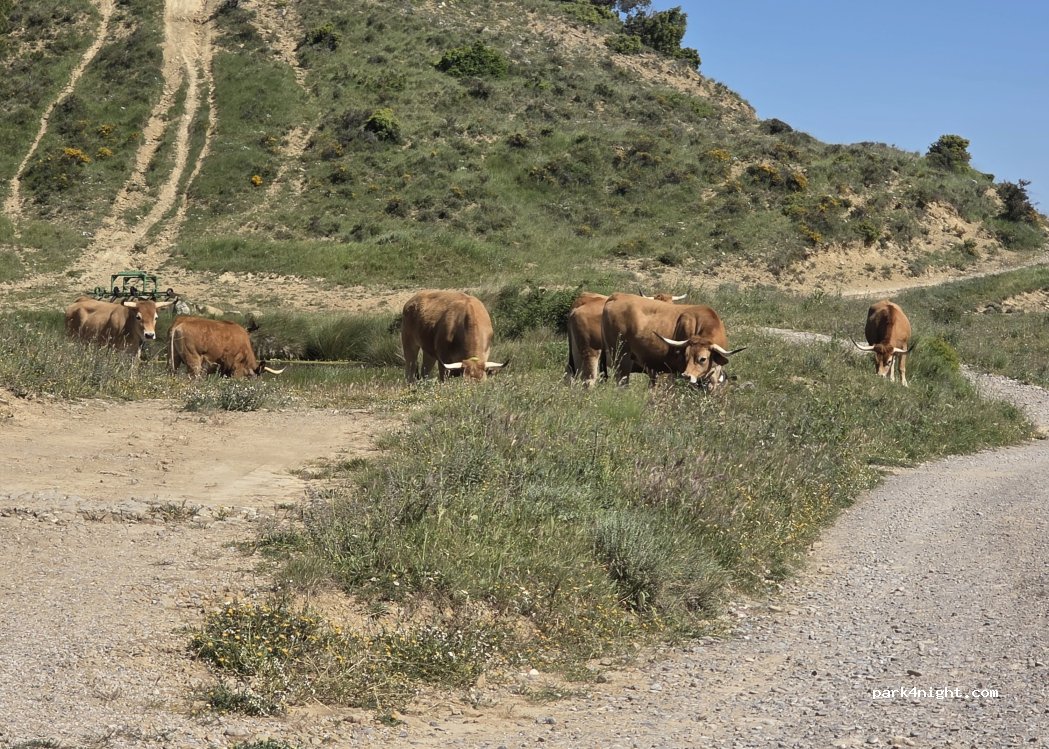 (31496) Ujué - Carretera de las Muelas — foto 5