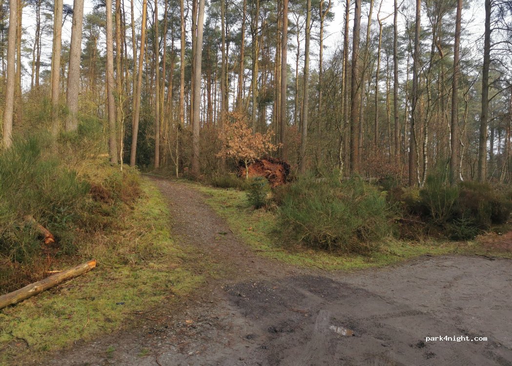 (DG11 1EW) Lockerbie - — foto 5