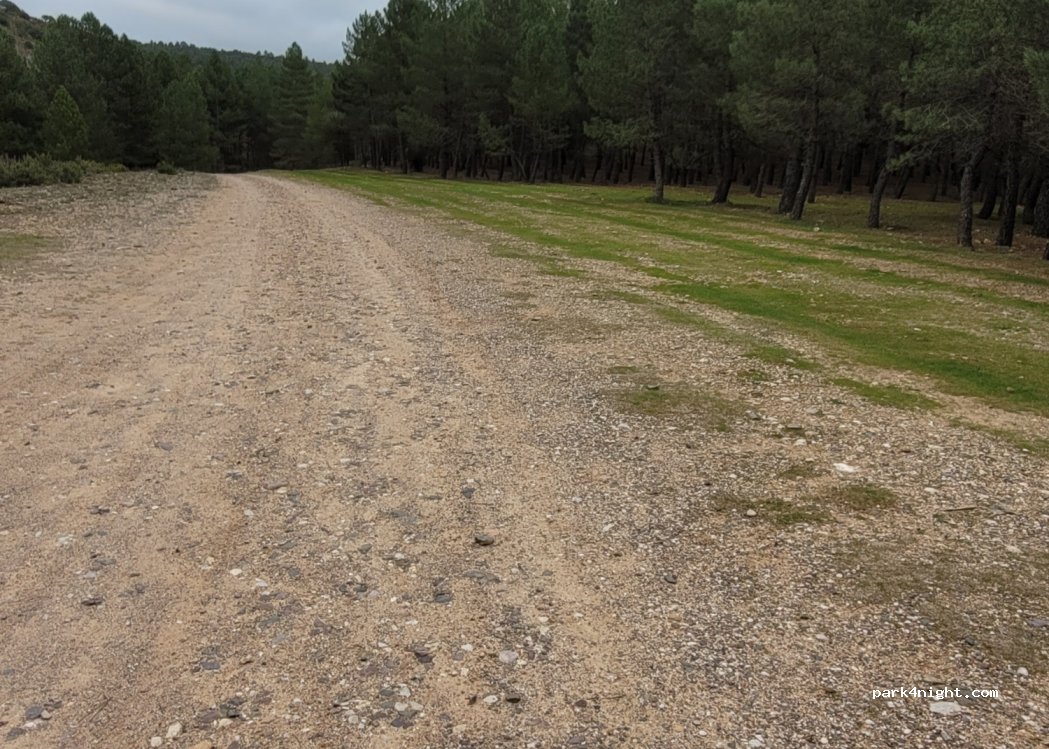(16390) Pajaroncillo - — foto