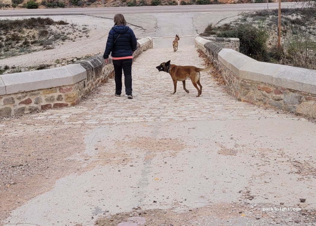 (16390) Pajaroncillo - — foto 2