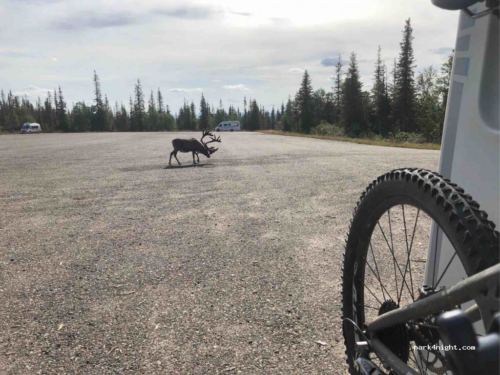 (99330) Muonio - 497 Pallastunturintie — foto 2