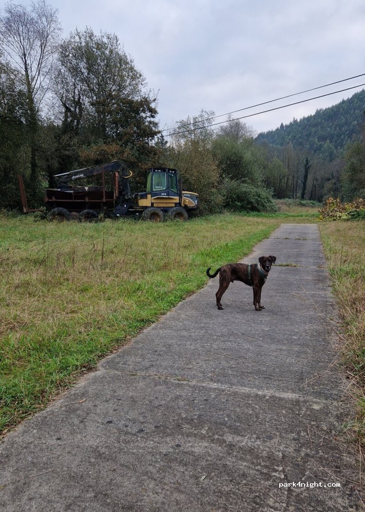 (27766) O Monte - — foto