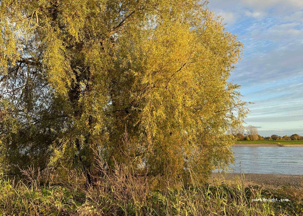 (40667) Meerbusch - 110 Apelter Weg — foto