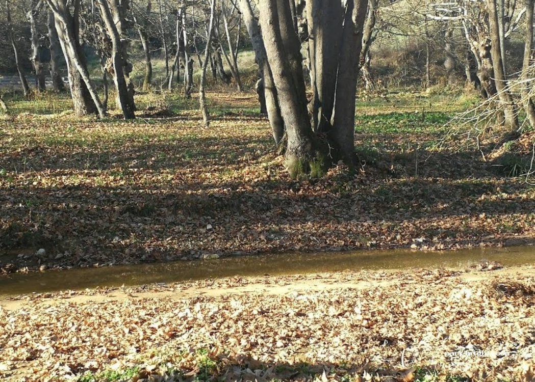 (57015) Nea Apollonia - — foto