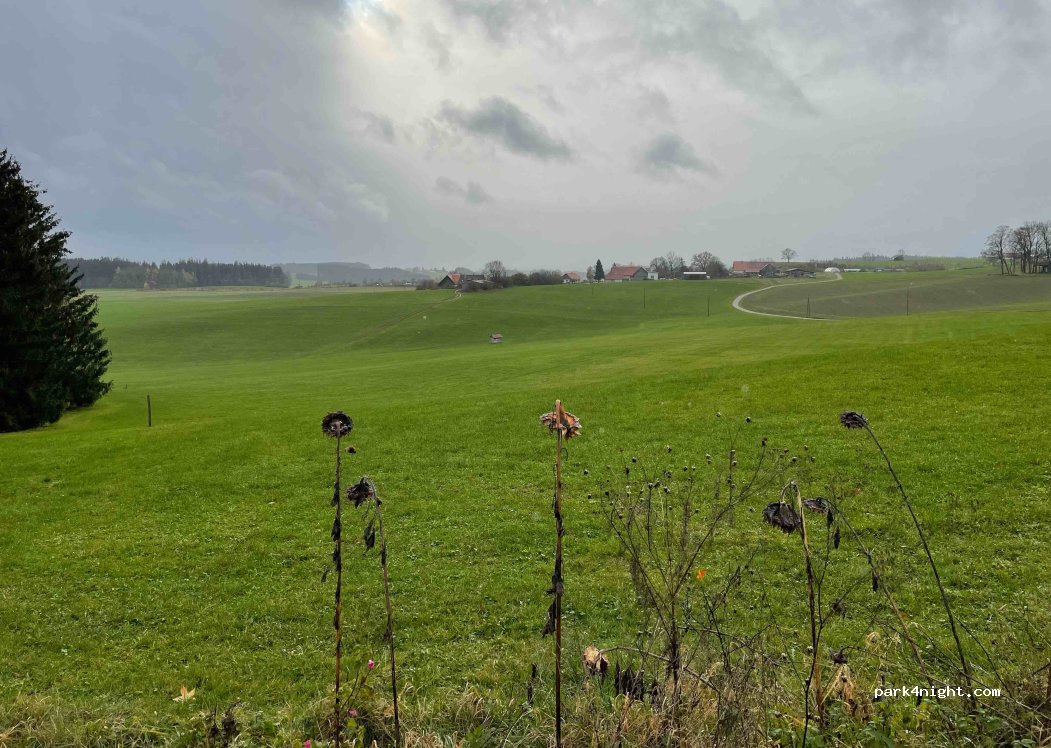 Waldcafe — foto