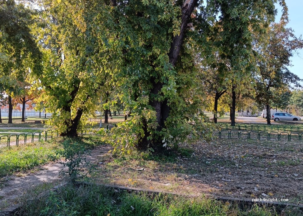 () Beograd - 4 Brodarska — foto