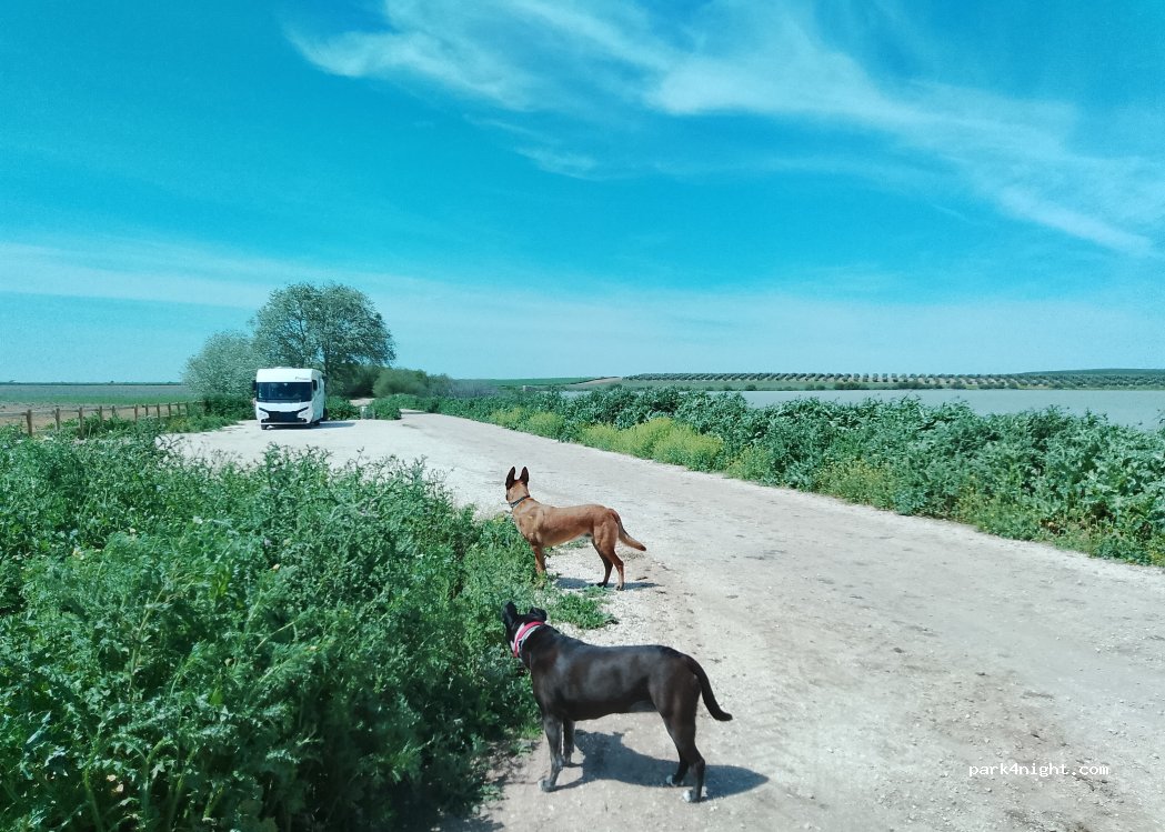 (41640) Lantejuela - Unnamed Road — foto 2