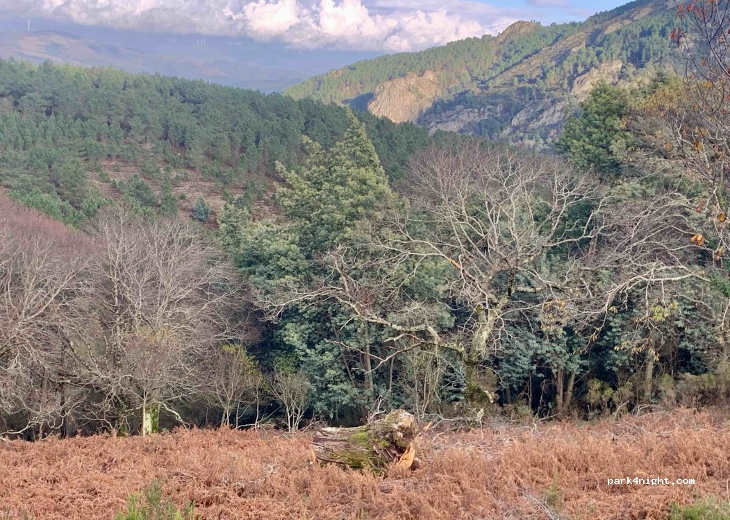 (3330) Aigra Velha - — foto 3