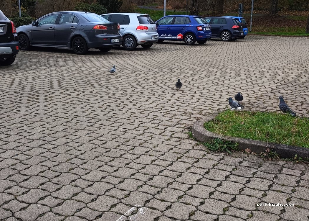 (99734) Nordhausen - 6 Wallrothstraße — foto 3