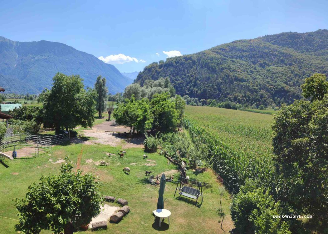 Azienda Agricola Alice in Wonderland — foto