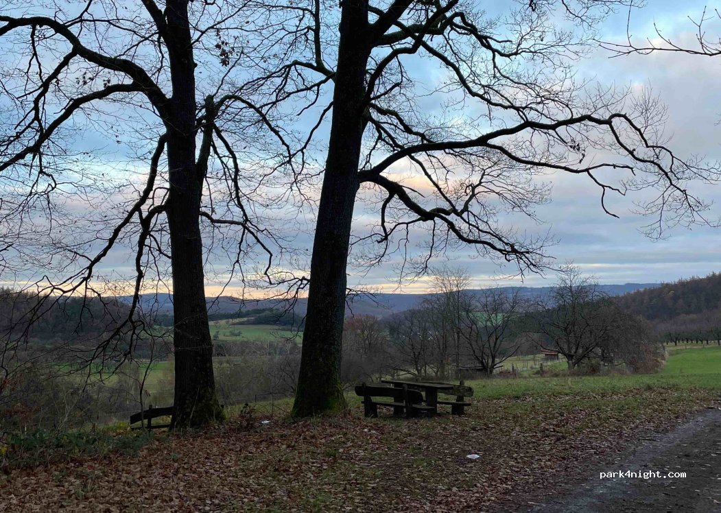 (34298) Kaufunger Wald - — foto