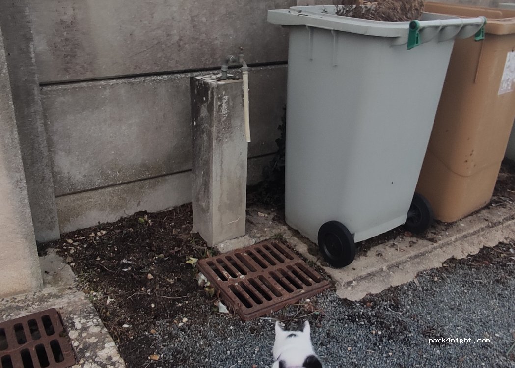 (18320) Torteron - 29 Rue des Loges — foto 3