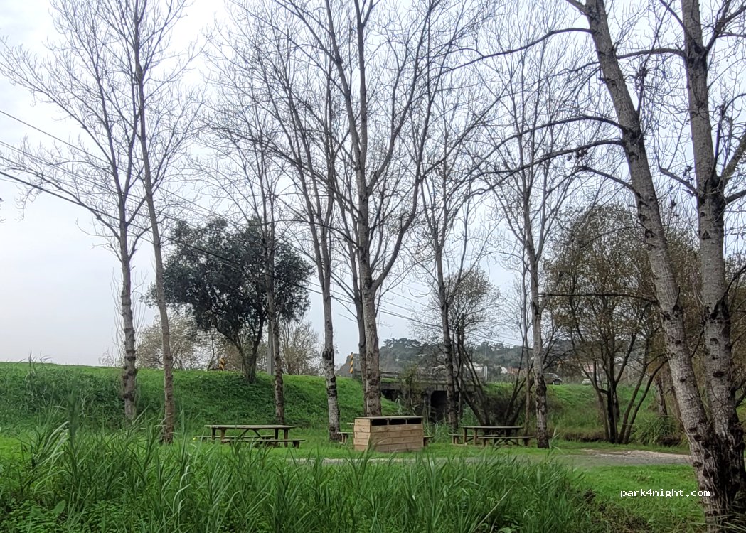 (3140) Montemor-o-Velho - EN111 — foto 3