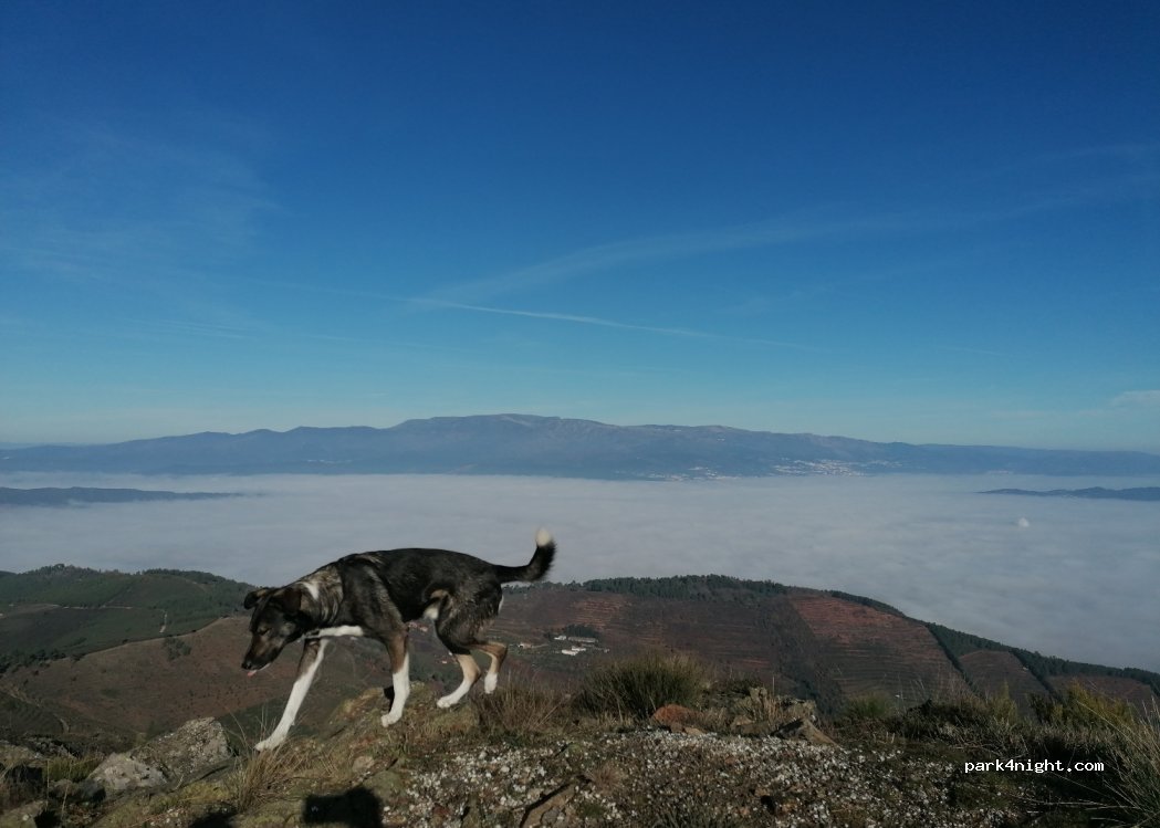 (6230) Souto da Casa - — foto