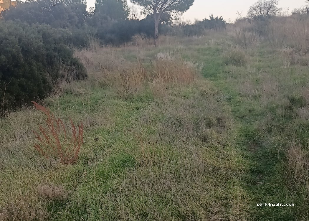(13890) Mouriès - — foto