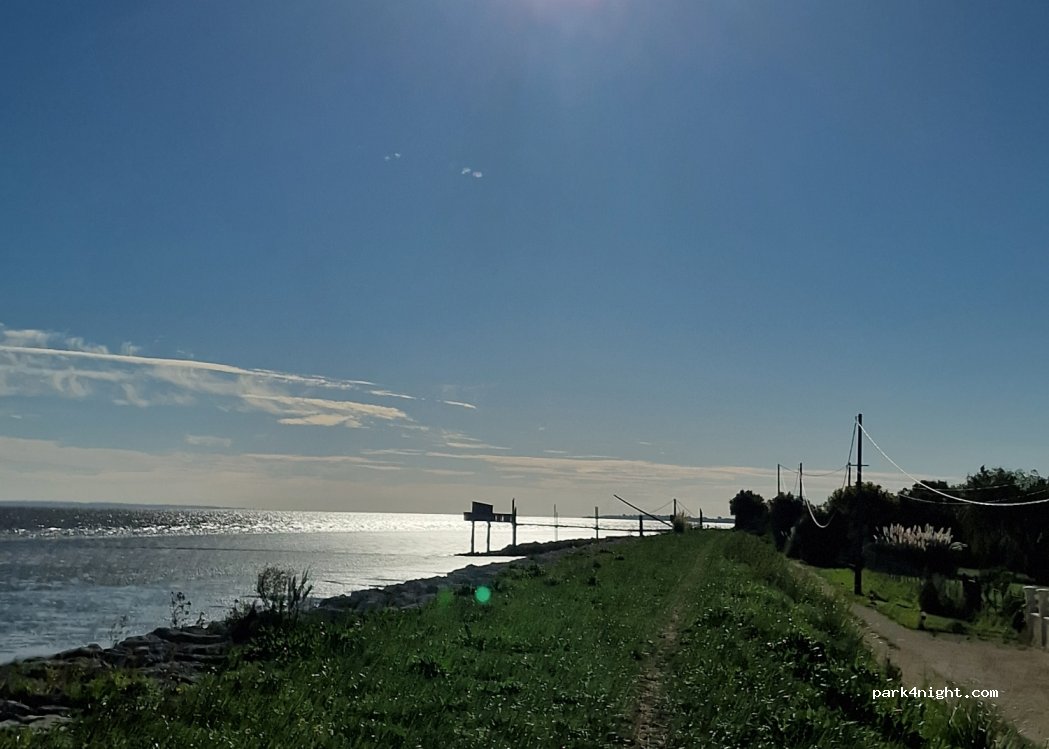 (33590) Jau-Dignac-et-Loirac - Matte de Richard — foto 2