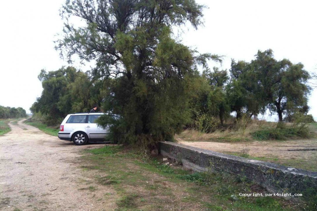 (33590) Jau-Dignac-et-Loirac - Matte de Richard — foto