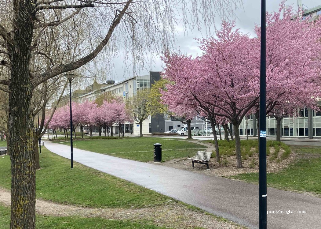 (852 34) Sundsvall - 3 Skepparegatan — foto