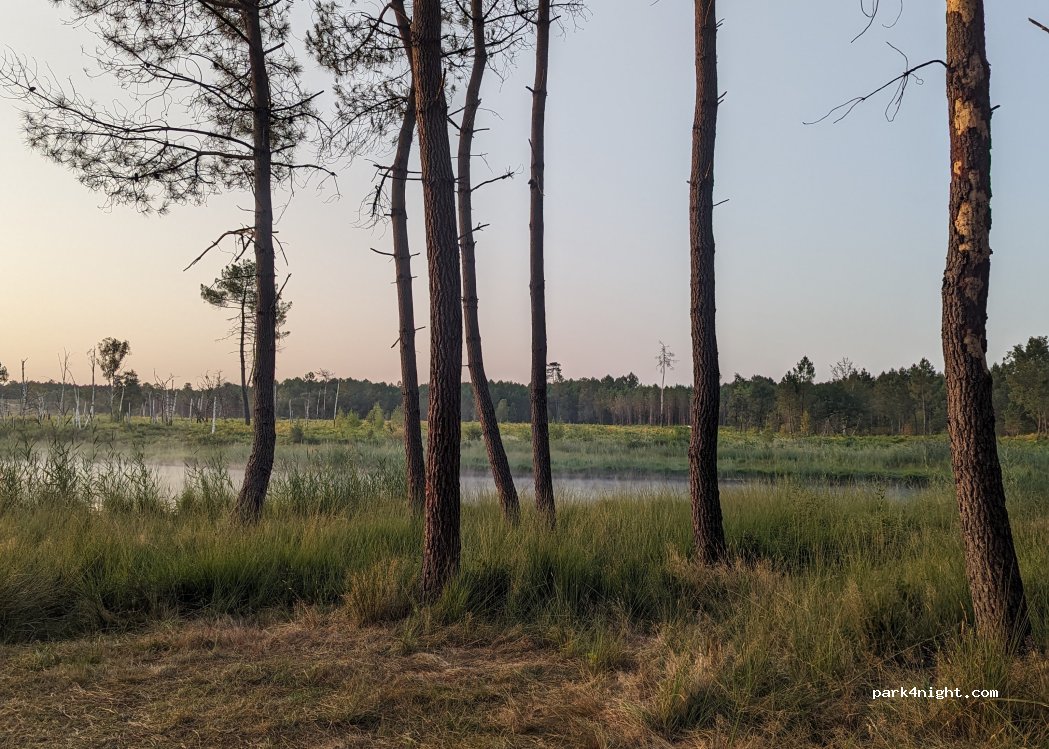 (17270) Cercoux - Unnamed Road — foto 4