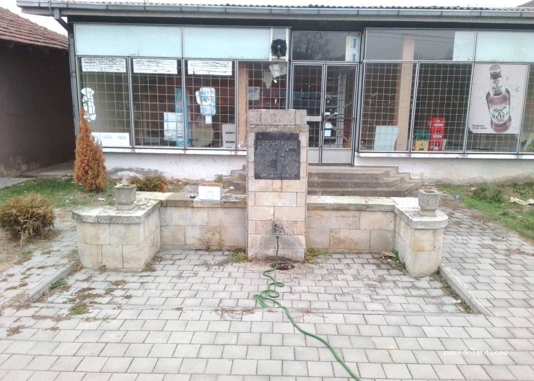 (37202) Đunis - 111 215 — foto
