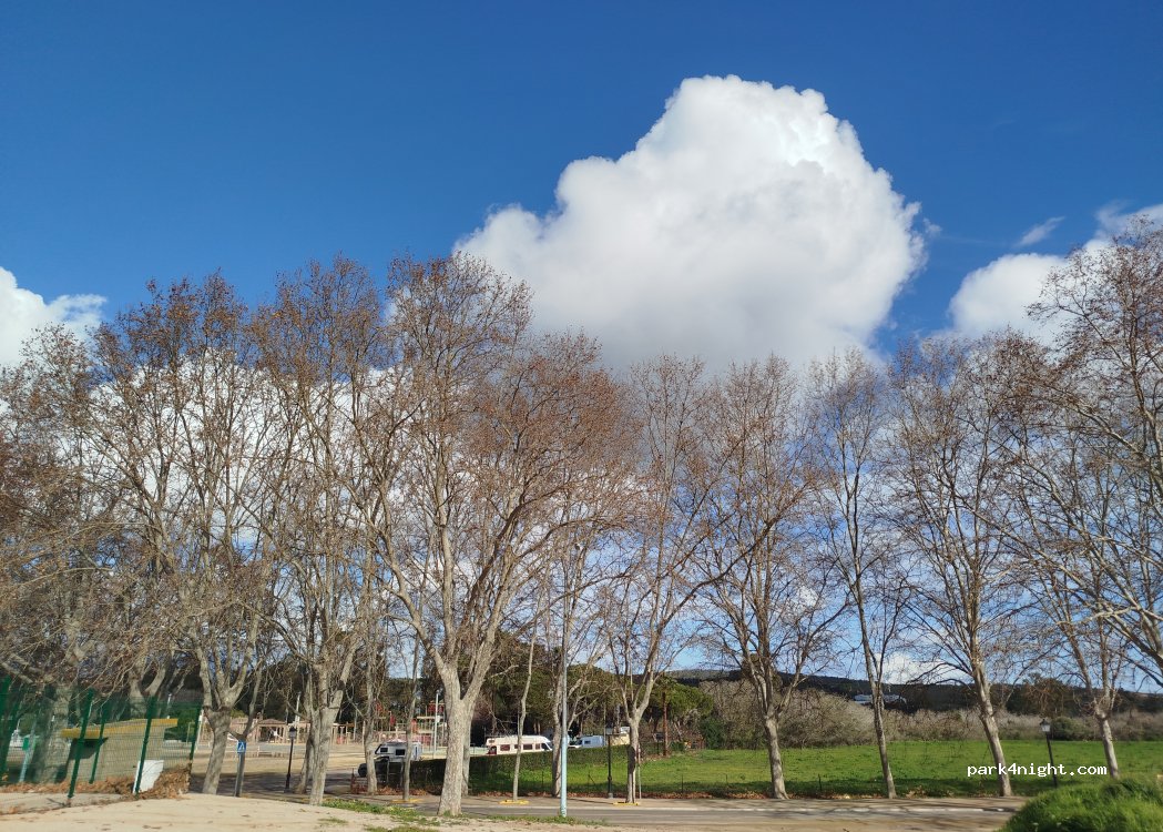 (11311) San Roque - 16 Avenida los Canos — foto
