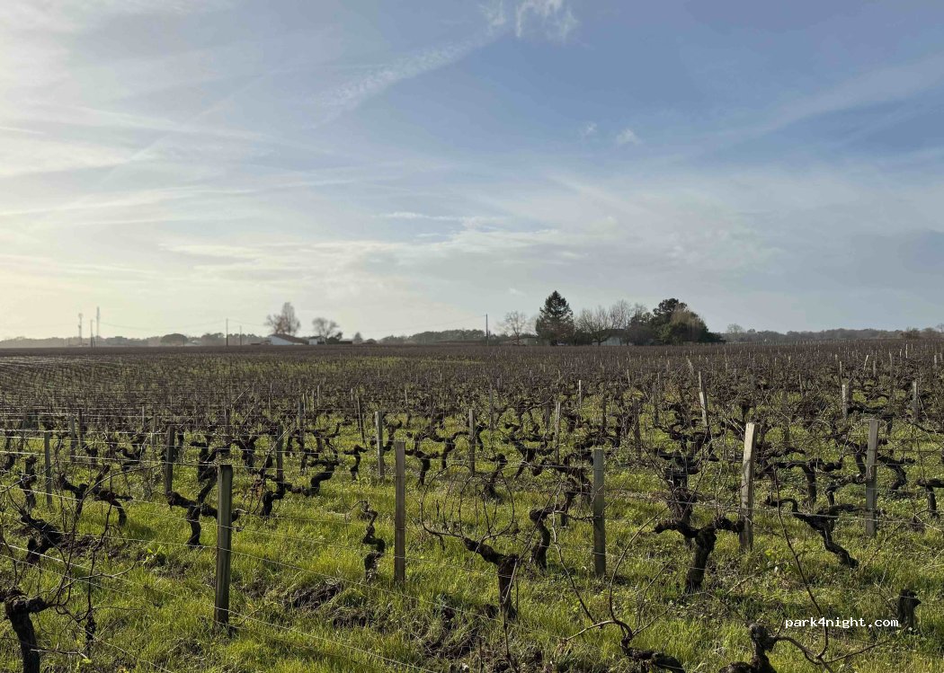 (33180) Vertheuil - 100 Le Bourg — foto