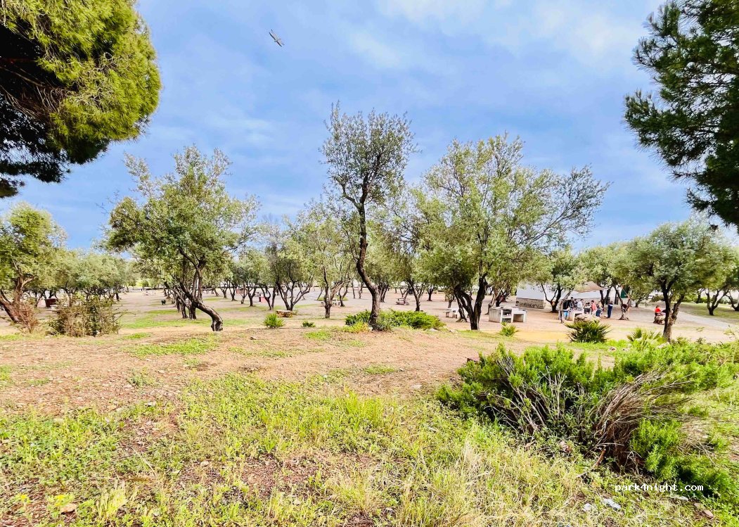 (29649) Las Lagunas de Mijas - 5 Calle Sierra de Baza — foto 4