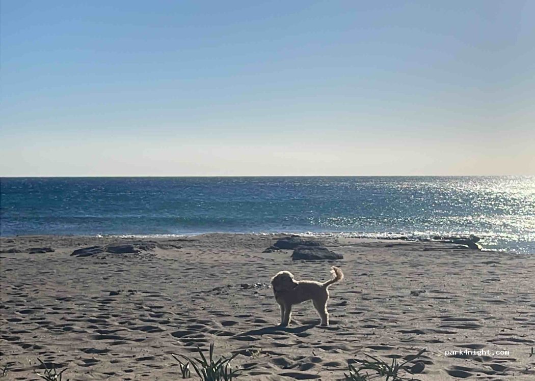 Camping grammeno — foto 4