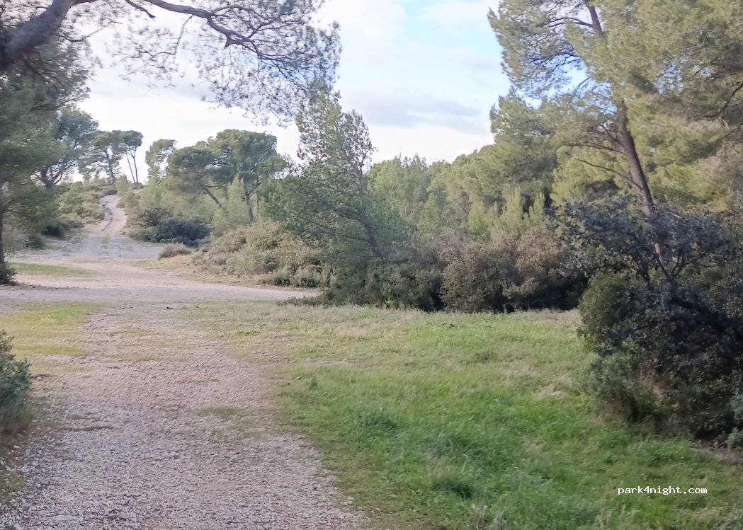 (13520) Maussane-les-Alpilles - 1530 Chemin des Plaines de Marguerite — foto