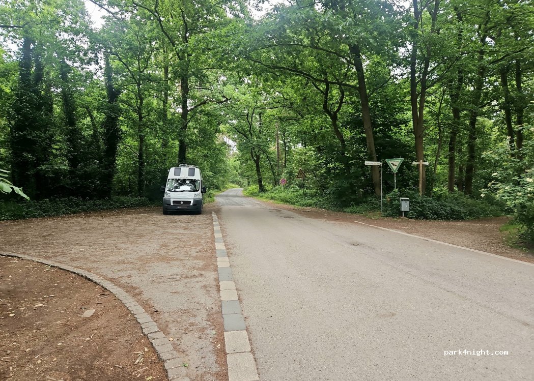(46499) Hamminkeln - Bislicher Wald — foto