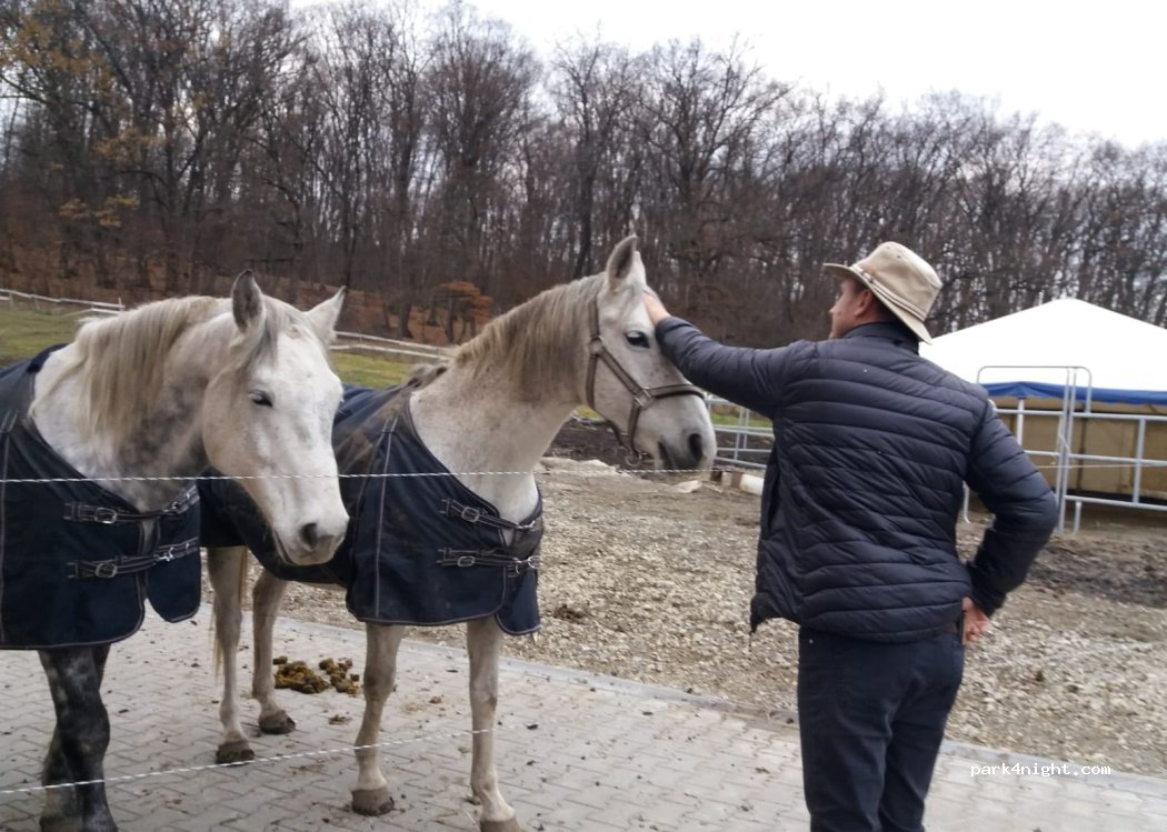 Ferma Terapeutică Pastorul Cel Bun — foto