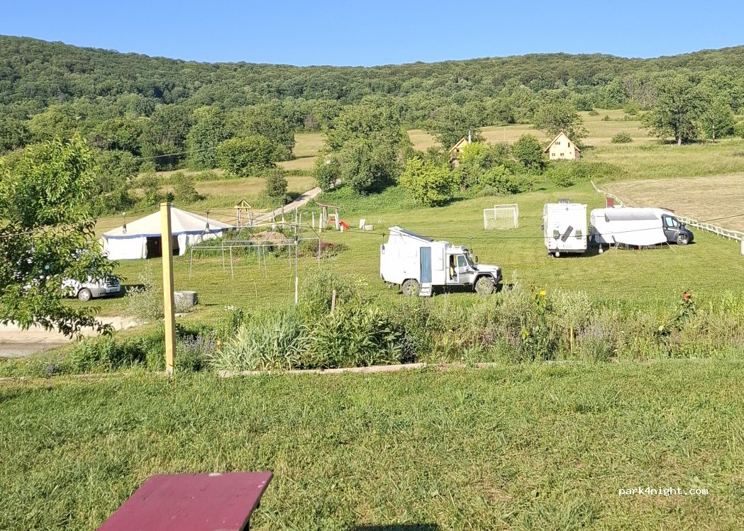Ferma Terapeutică Pastorul Cel Bun — foto 5