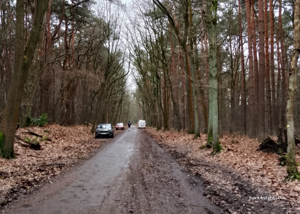 (3500) Hasselt - Nieuwe-Heidestraat — foto