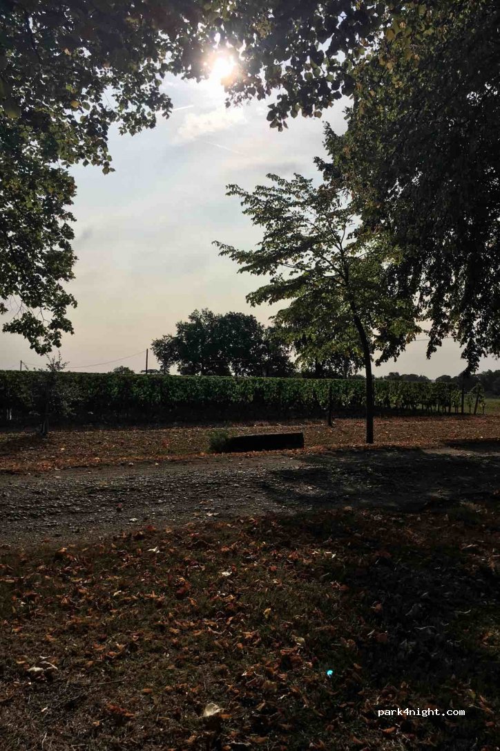 Chateau Pey Labrie — foto