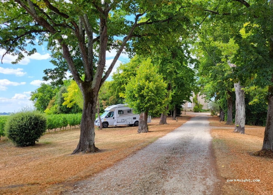 Chateau Pey Labrie — foto 5