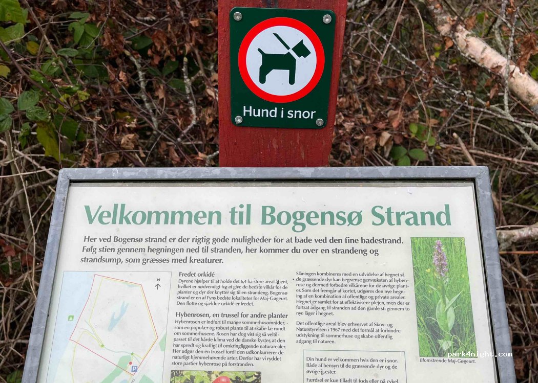 (5390) Martofte - 365 Bogensøvej — foto