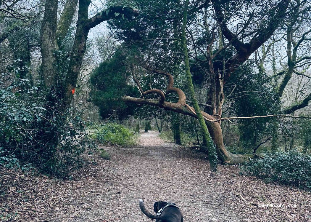 (PL26 8YE) Saint Austell - Unnamed Road — foto
