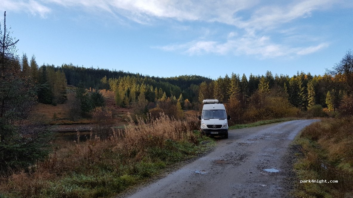 (FK8)  - Achray Forest Drive — foto 2