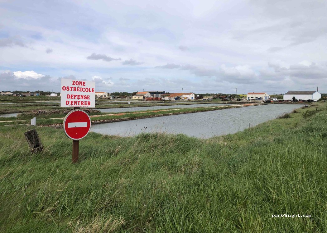 (17780) Saint-Froult - Claires de Mon Portail — foto 4