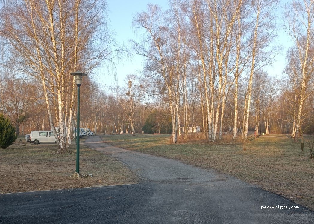 (02220) Ciry-Salsogne - 7 Route de Condé — foto 2