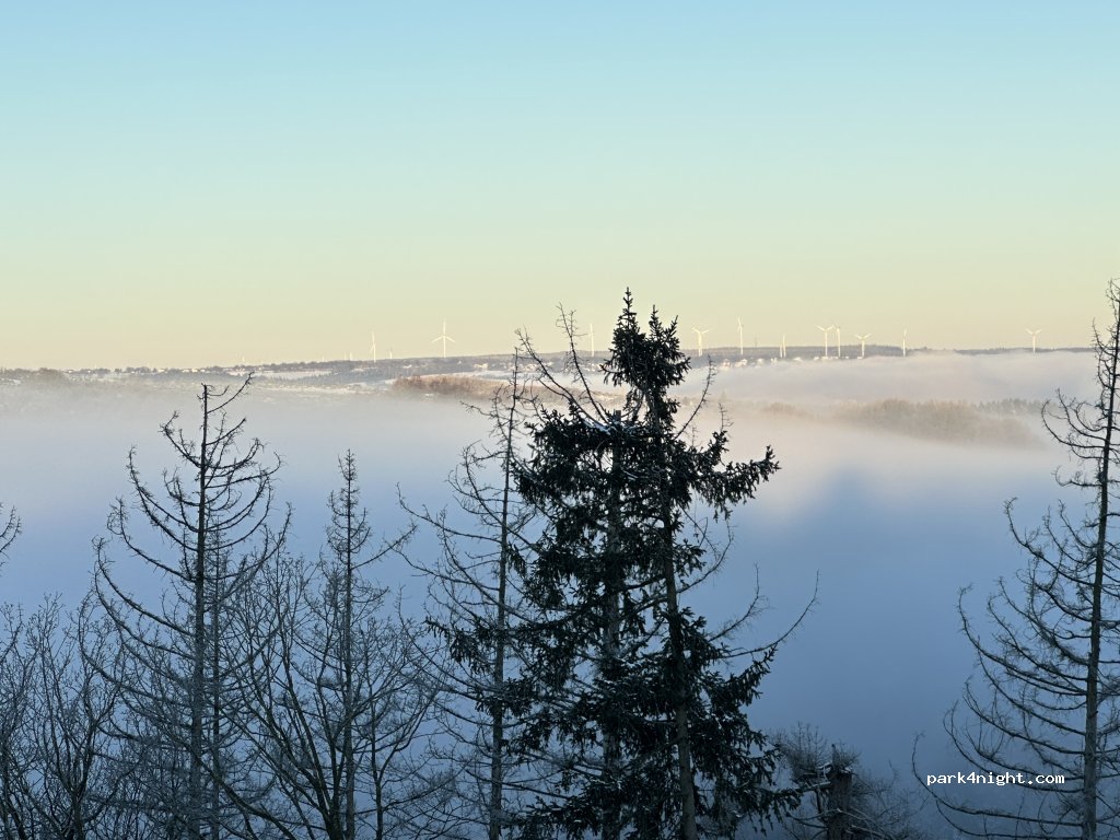 Eifelpark-Vogelsang — foto 2