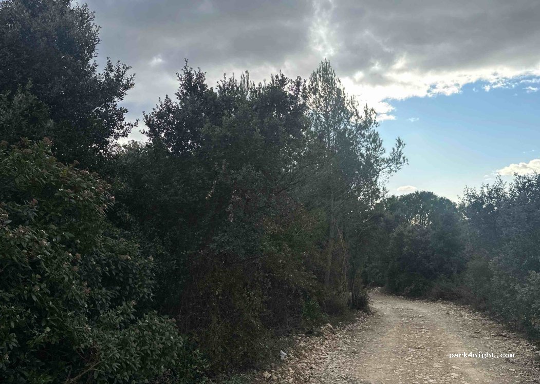 (30980) Saint-Dionisy - — foto